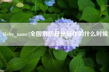 清镇全国消防日是每年的什么时候