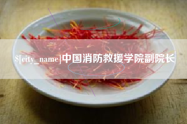 清镇中国消防救援学院副院长