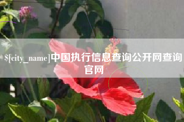 清镇中国执行信息查询公开网查询官网