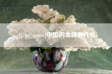 清镇中国的金牌有几名