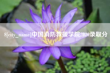 清镇中国消防救援学院2020录取分