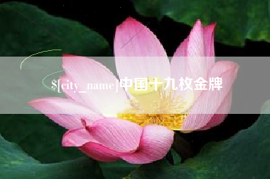 清镇中国十九枚金牌