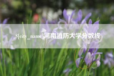 清镇河南消防大学分数线