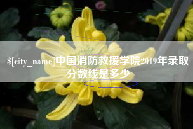 清镇中国消防救援学院2019年录取分数线是多少