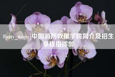 清镇中国消防救援学院简介及招生章程指挥部