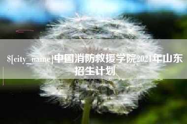 清镇中国消防救援学院2021年山东招生计划
