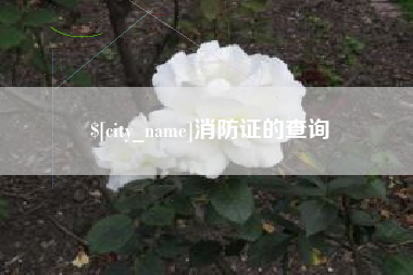 清镇消防证的查询