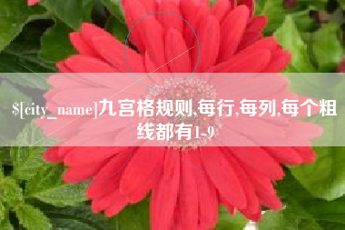 清镇九宫格规则,每行,每列,每个粗线都有1-9