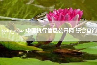 清镇中国执行信息公开网 综合查询