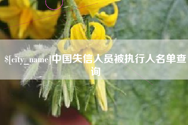 清镇中国失信人员被执行人名单查询