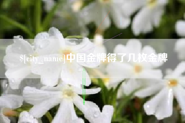 清镇中国金牌得了几枚金牌