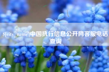 清镇中国执行信息公开网客服电话查询