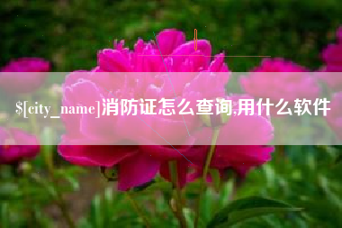 清镇消防证怎么查询,用什么软件