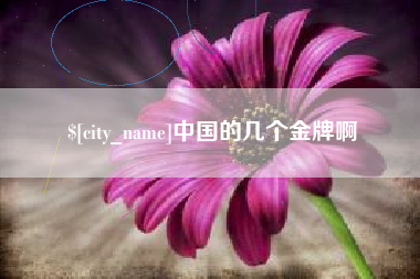 清镇中国的几个金牌啊