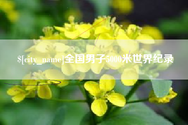 清镇全国男子5000米世界纪录