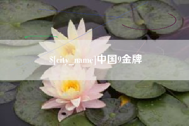 清镇中国9金牌