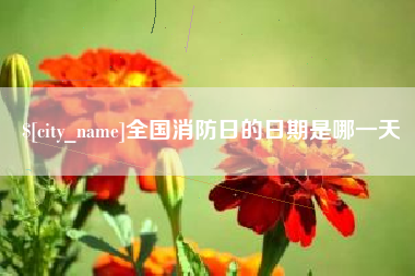 清镇全国消防日的日期是哪一天