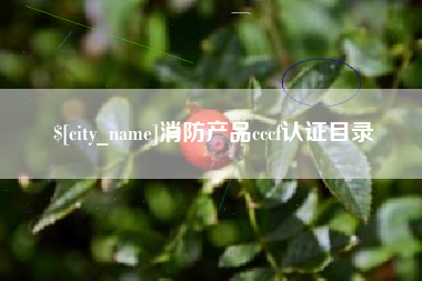 清镇消防产品cccf认证目录