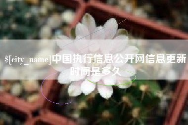 清镇中国执行信息公开网信息更新时间是多久