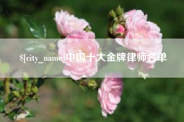 清镇中国十大金牌律师名单