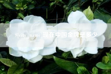 清镇现在中国金牌是多少