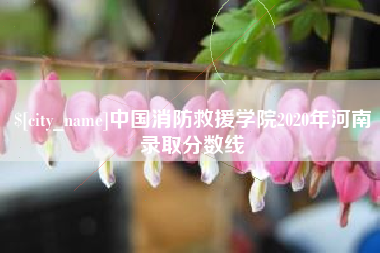 清镇中国消防救援学院2020年河南录取分数线