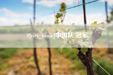 清镇中国队 冠军