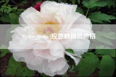 清镇应急救援员价格