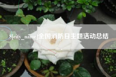 清镇全国消防日主题活动总结