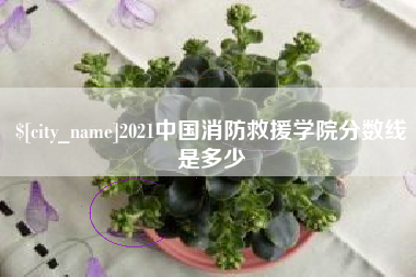 清镇2021中国消防救援学院分数线是多少