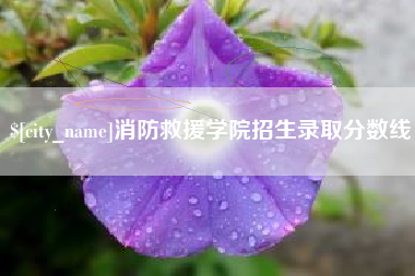 清镇消防救援学院招生录取分数线