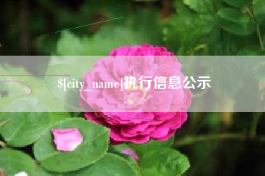 清镇执行信息公示