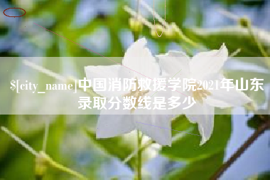 清镇中国消防救援学院2021年山东录取分数线是多少