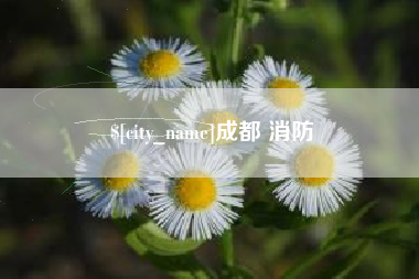 清镇成都 消防