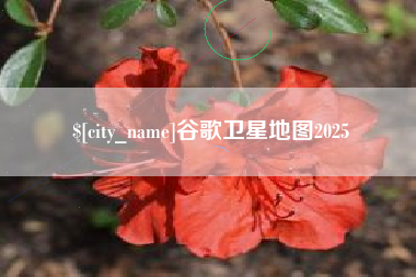 清镇谷歌卫星地图2025