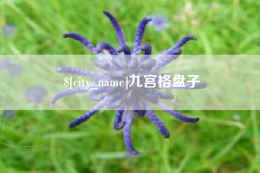清镇九宫格盘子