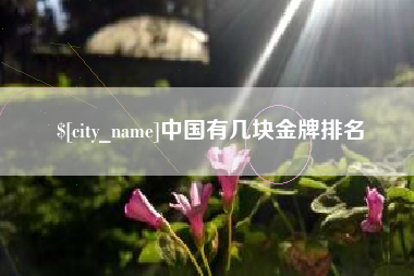 清镇中国有几块金牌排名