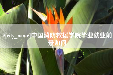 清镇中国消防救援学院毕业就业前景如何