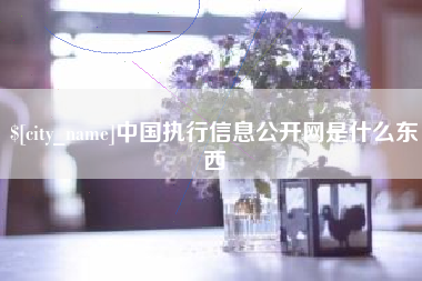 清镇中国执行信息公开网是什么东西