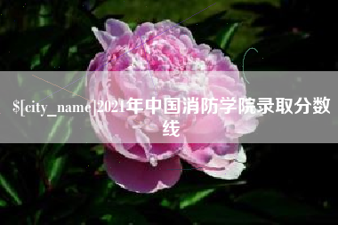 清镇2021年中国消防学院录取分数线