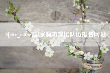 清镇国家消防救援队伍报名网址