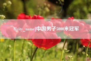 清镇中国男子5000米冠军