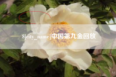 清镇中国第九金回放