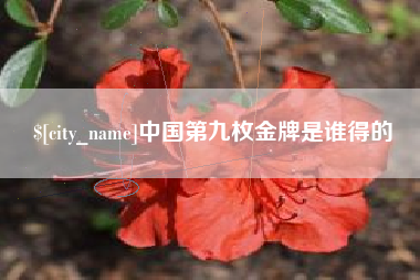 清镇中国第九枚金牌是谁得的