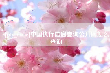 清镇中国执行信息查询公开网怎么查询