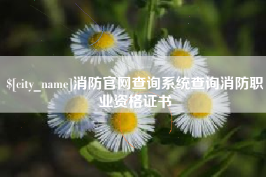清镇消防官网查询系统查询消防职业资格证书