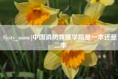 清镇中国消防救援学院是一本还是二本