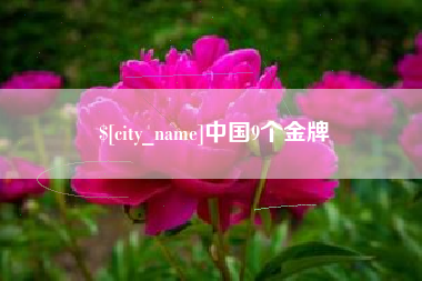 清镇中国9个金牌