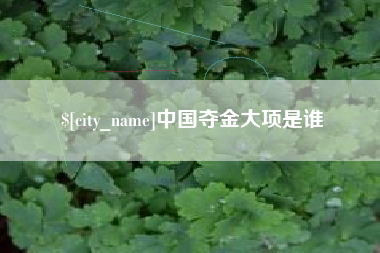 清镇中国夺金大项是谁