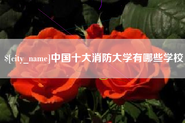 清镇中国十大消防大学有哪些学校